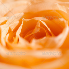 免费ddos在线攻击