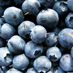 在线DDOS压力测试网页端