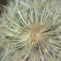 不用登录账号的如何攻击网站