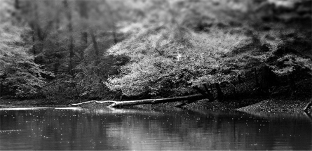 网页在线DDOS压力测试