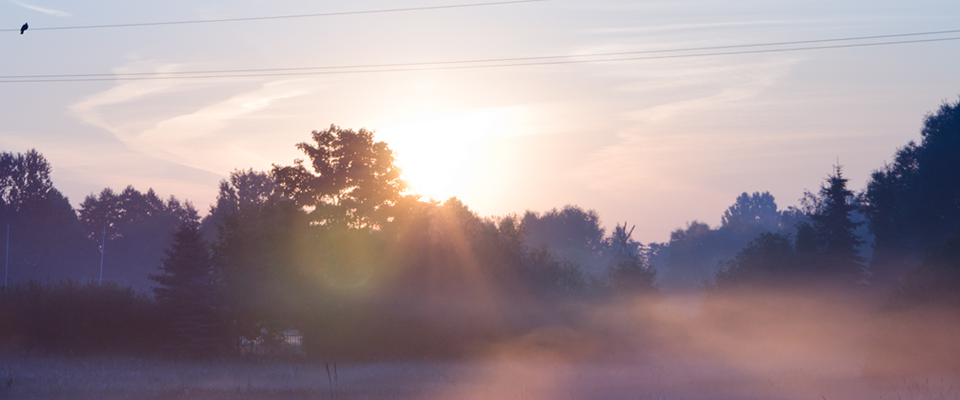 免费ddos在线攻击
